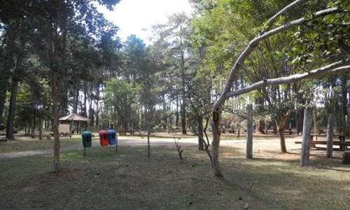 Jardim Botânico de Brasília - 03